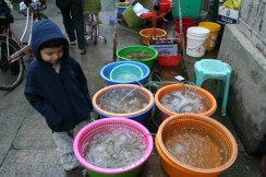 Ngong Ping - Buddha - Tai-O 2009-03-12 119
