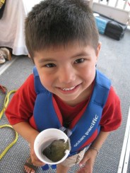 Lake Powell 2009-08-06 098