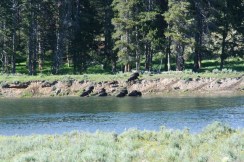 Yellowstone 2010-07-23 064