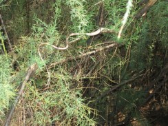 Lake Powell Day 5 2010-09-10 001