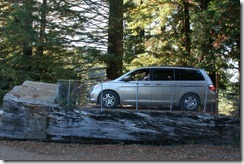 Drive Through Tree 2011-08-22 023