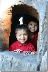 Drive Through Tree 2011-08-22 037