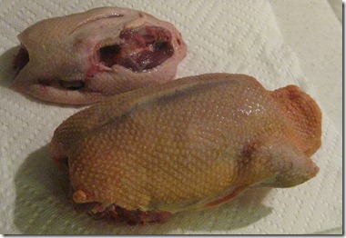 Duck Hunting 2011-11-22 025