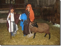 Shepherds 2014-11-16 004 - Copy